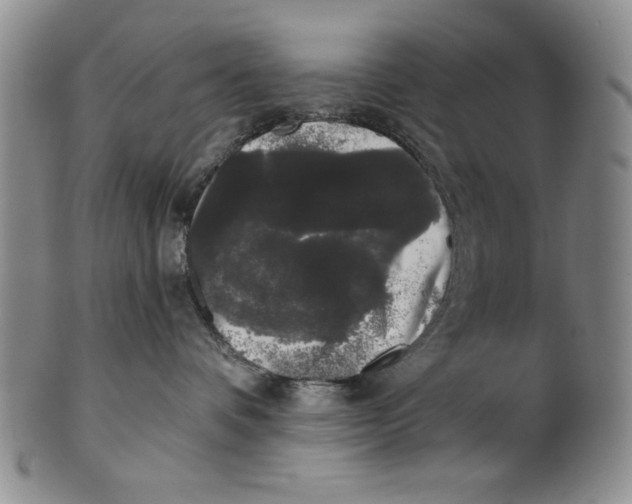 X0000101980336200808081621