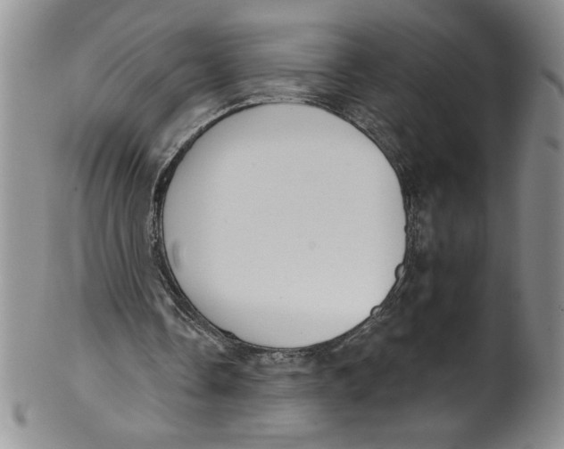 X0000101980338200808081620