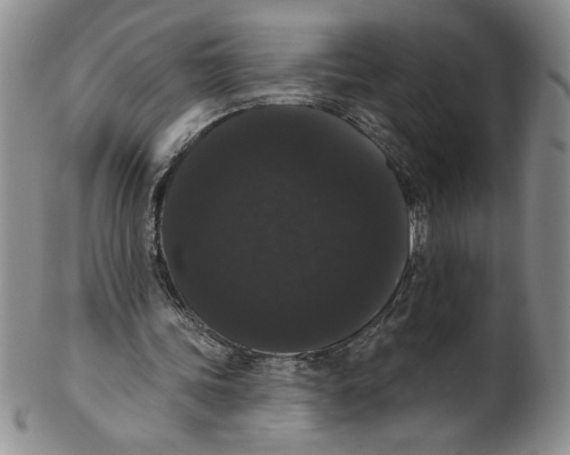 X0000101980339200808081620