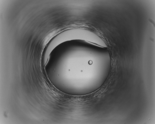 X0000101980340200808081620