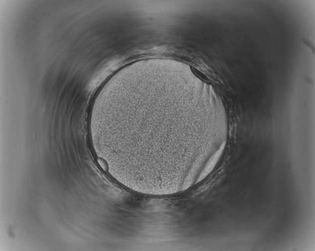 X0000101980341200808081620