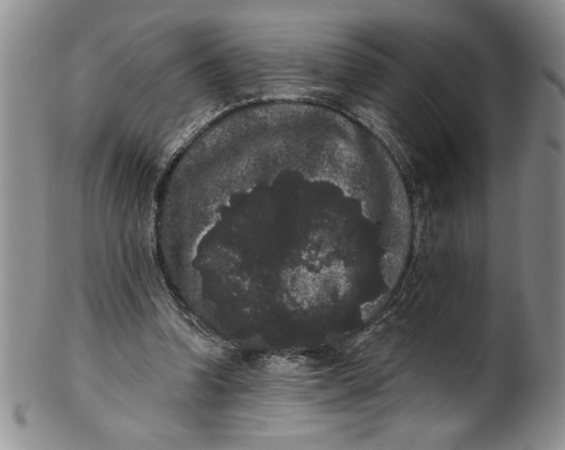 X0000101980346200808081620