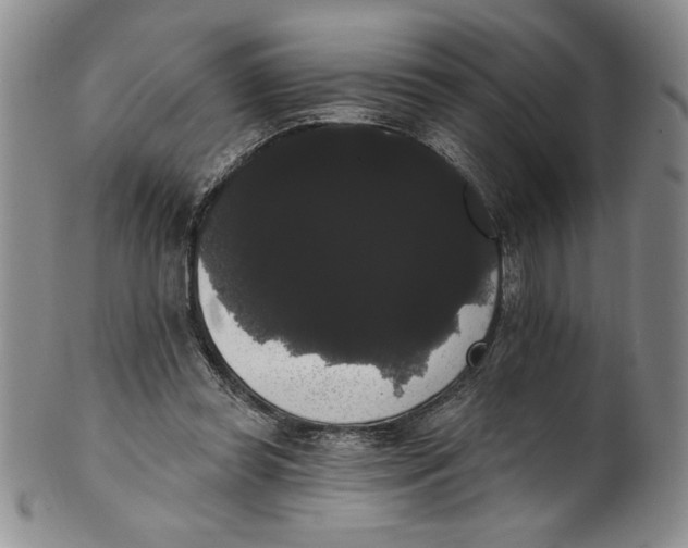 X0000101980349200808081620