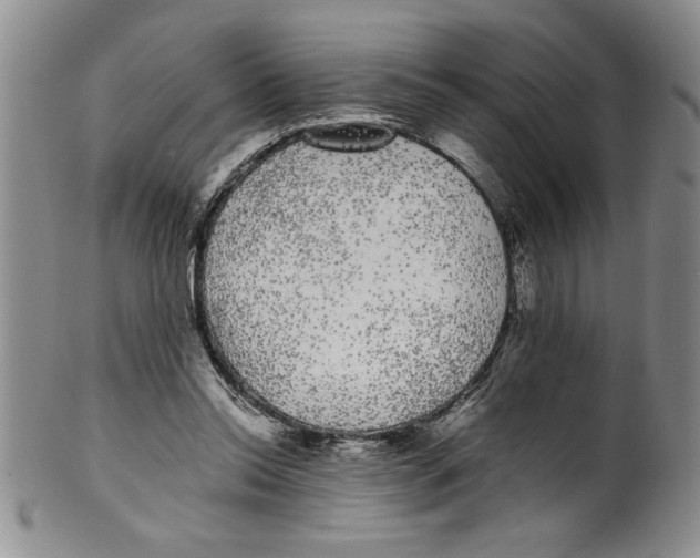 X0000101980350200808081620