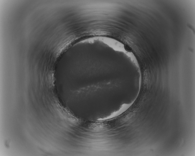 X0000101980351200808081620