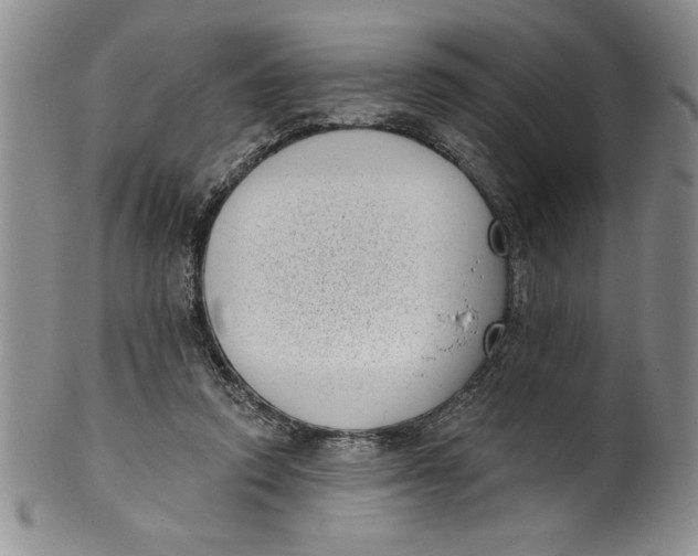 X0000101980354200808081621