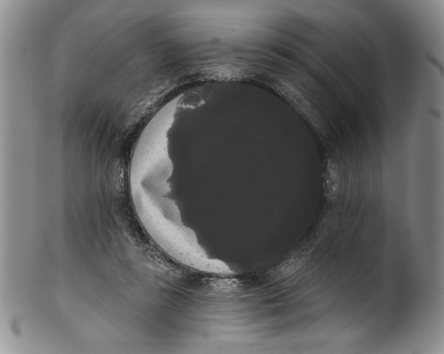 X0000101980355200808081621