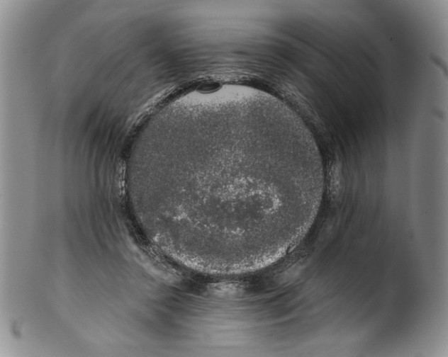 X0000101980356200808081621