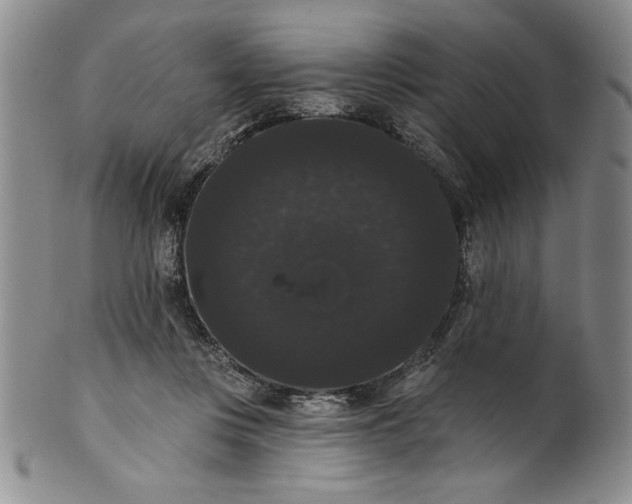 X0000101980359200808081621