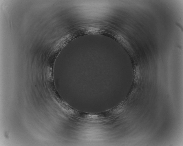 X0000101980361200808081621