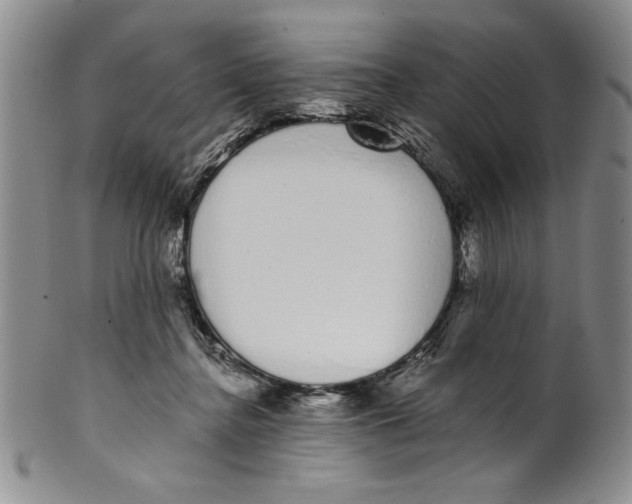 X0000101980364200808081621