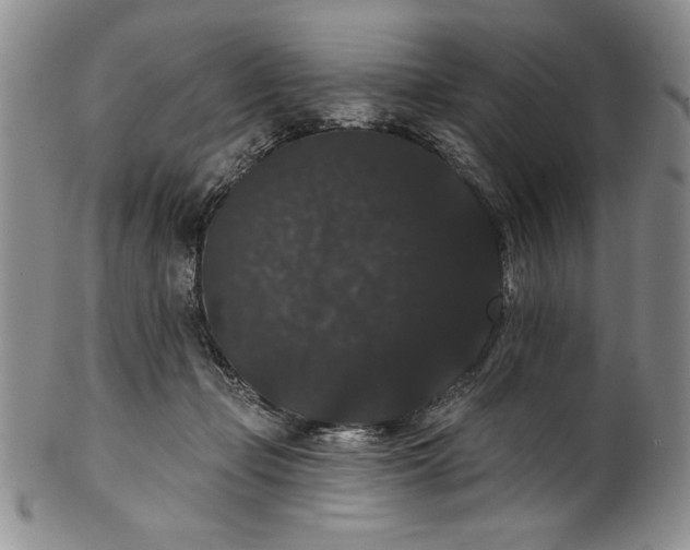 X0000101980365200808081621