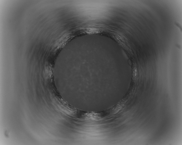 X0000101980367200808081621