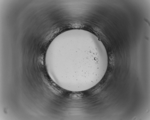 X0000101980368200808081621