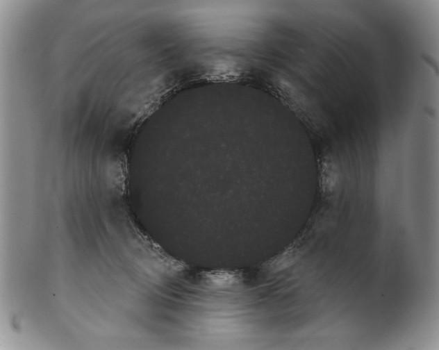 X0000101980370200808081621