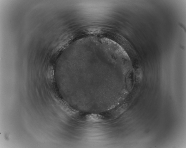 X0000101980372200808081621