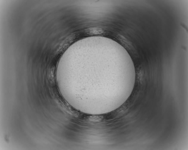 X0000101980373200808081621