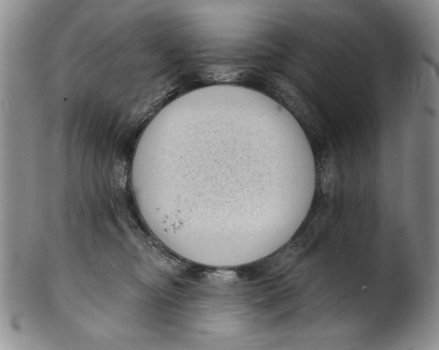 X0000101980374200808081621