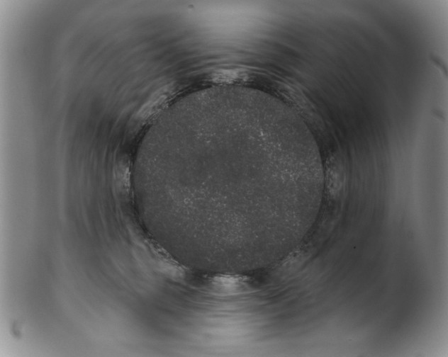 X0000101980375200808081621