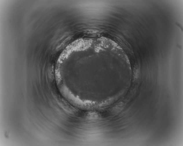 X0000101980376200808081621