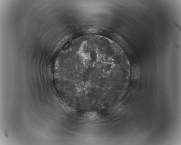 X0000101980377200808081621