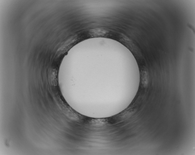 X0000101980378200808081621