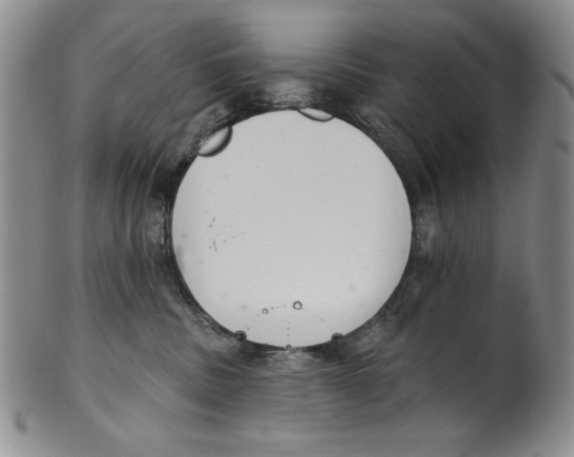 X0000101980379200808081621