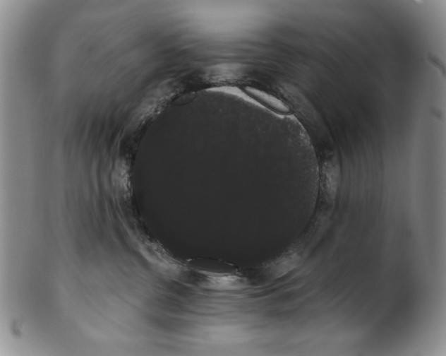 X0000101980380200808081621