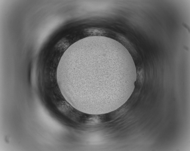 X0000101980381200808081621