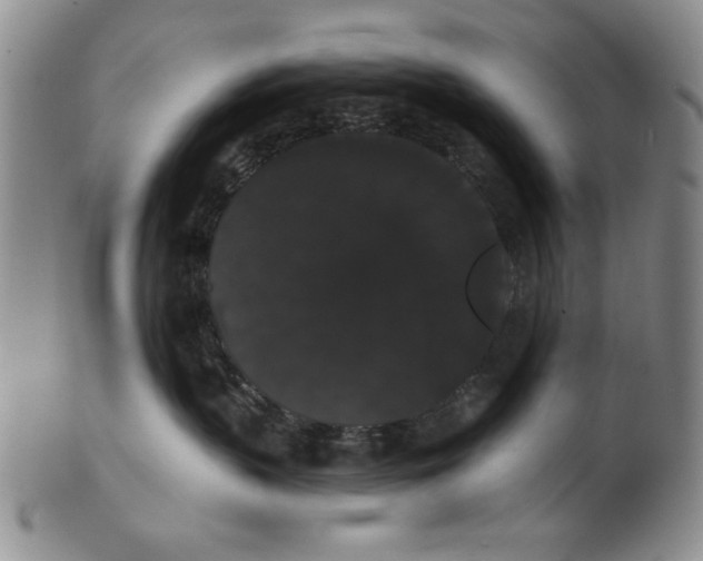 X0000101980383200808081621