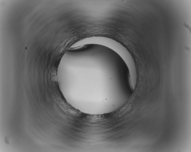 X0000101980384200808081621