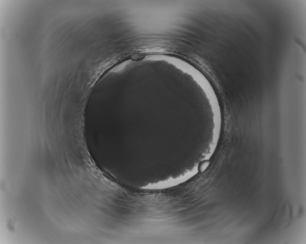 X0000101980385200808081620