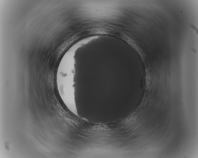 X0000101980386200808081620