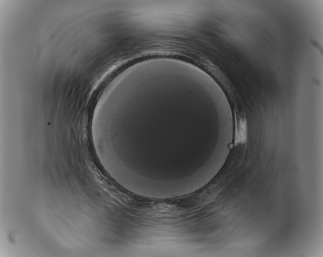 X0000101980387200808081620