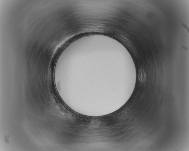 X0000101980388200808081620