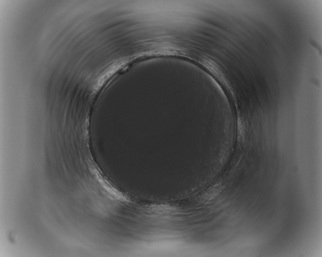 X0000101980389200808081620