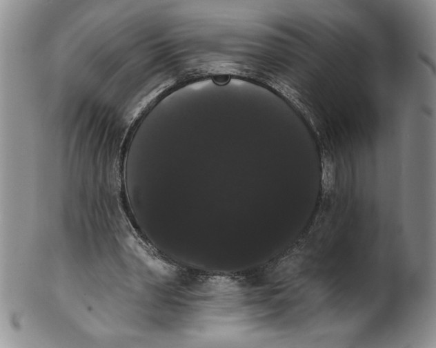 X0000101980390200808081620