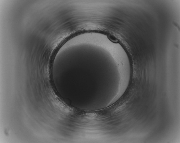 X0000101980391200808081620