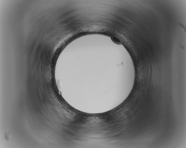 X0000101980392200808081620