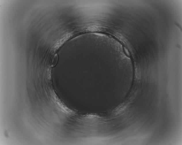 X0000101980393200808081620