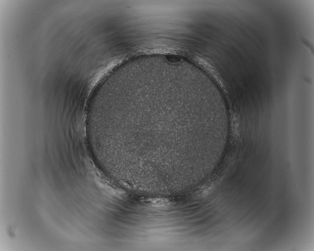 X0000101980395200808081620