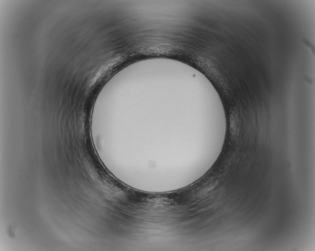 X0000101980396200808081620