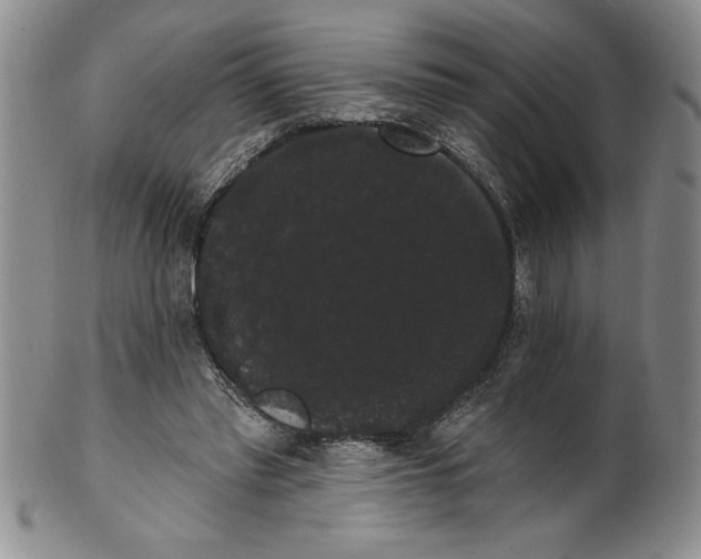 X0000101980397200808081620