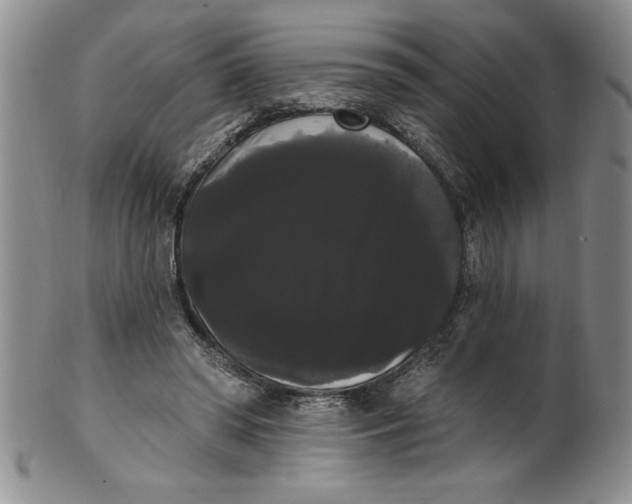 X0000101980398200808081620