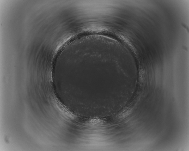 X0000101980399200808081620