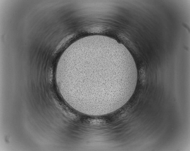 X0000101980400200808081620