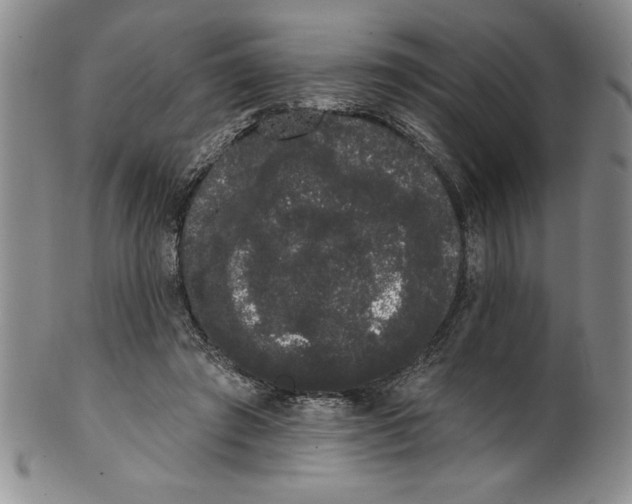 X0000101980401200808081620