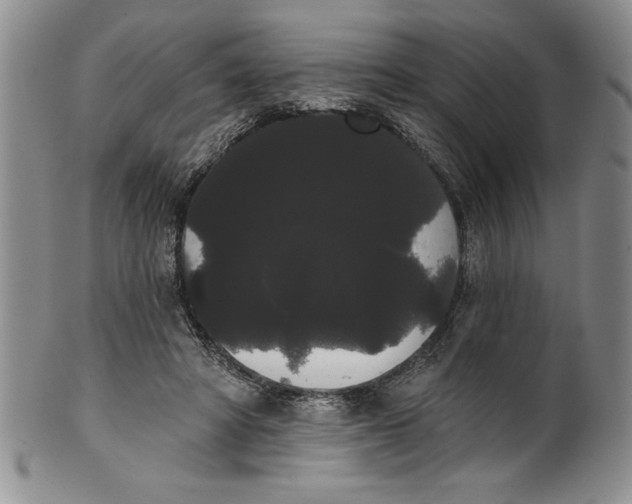 X0000101980402200808081620