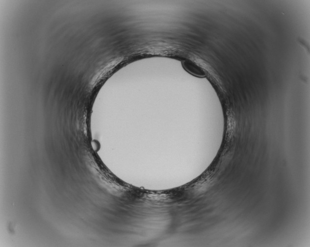 X0000101980403200808081620