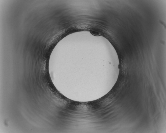 X0000101980404200808081620